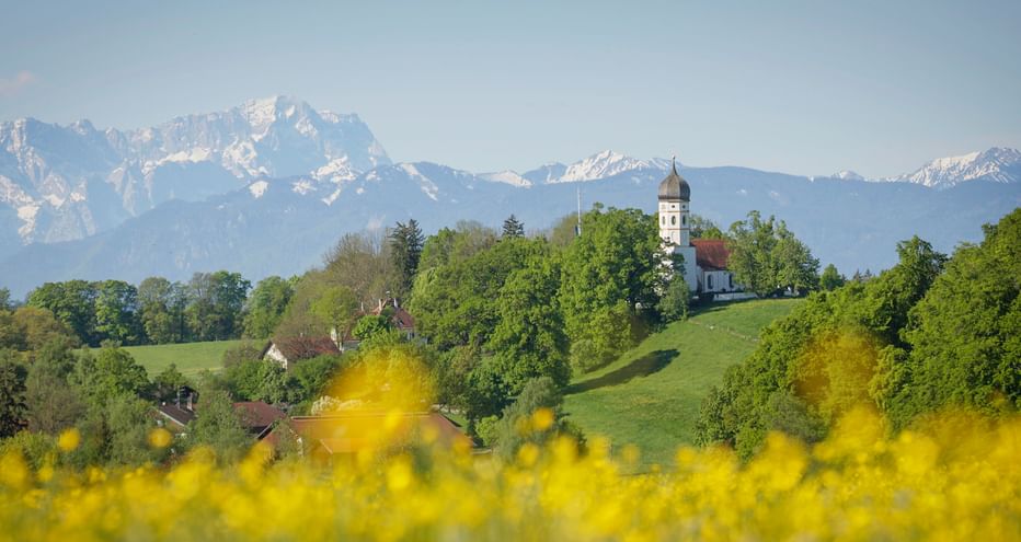 White pilgrimage church on green hill in Holzhausen with yellow flower field in foreground and snow-capped Alpine mountains in background.
