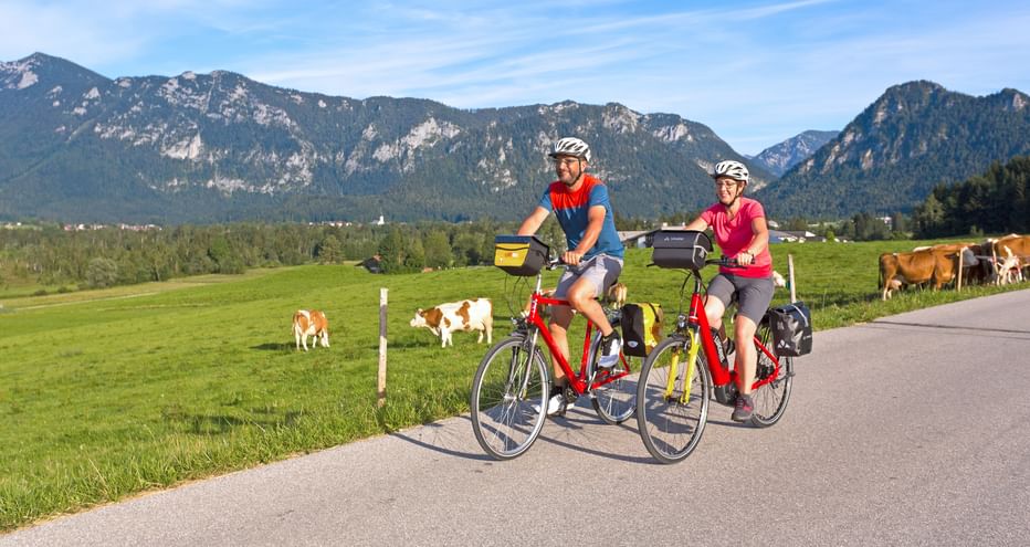 Two cyclists on a lonely road outside Inzell, with cows, meadows and mountains in the background