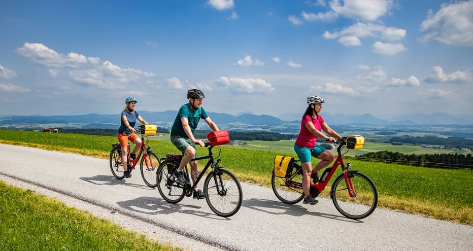 Drei Radfahrer mit gelben Packtaschen fahren auf einer asphaltierten Straße bei Buchberg. Grüne Felder und Alpenpanorama unter blauem Himmel.