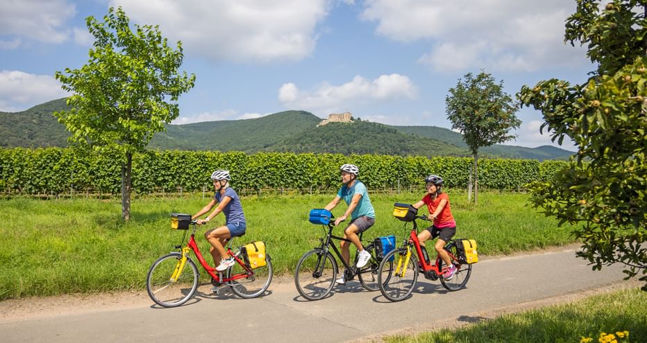 Cycling group on a cycle path with a view of Hambach Castle