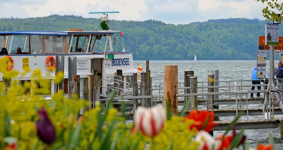 Excursion boat at the harbour, with flowers in the foreground