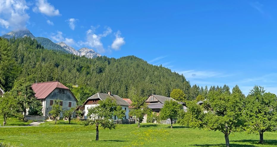 Idyllically situated farmhouses on the stage between Drautal and Spittal, fruit trees in the foreground, forests and mountains in the background