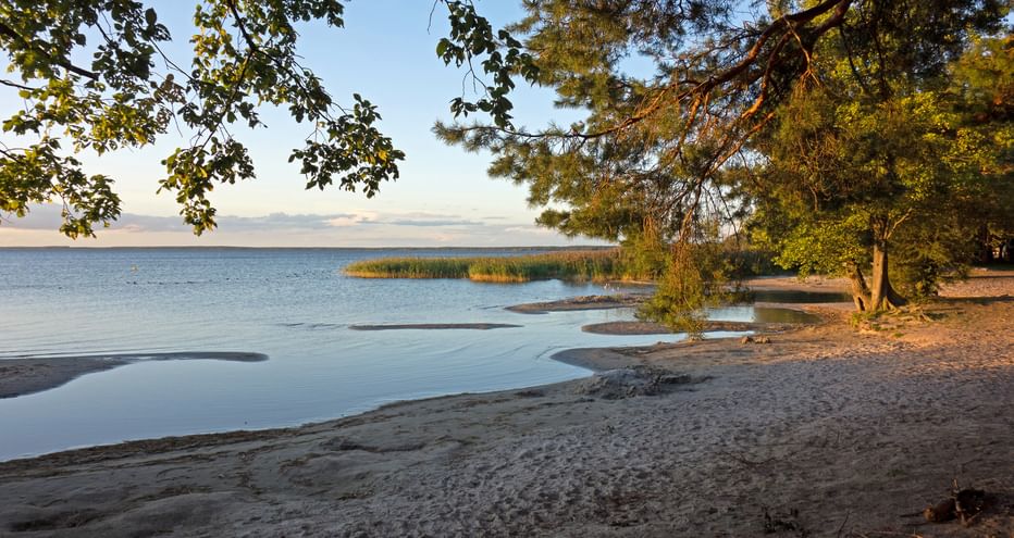 On the banks of the Müritz