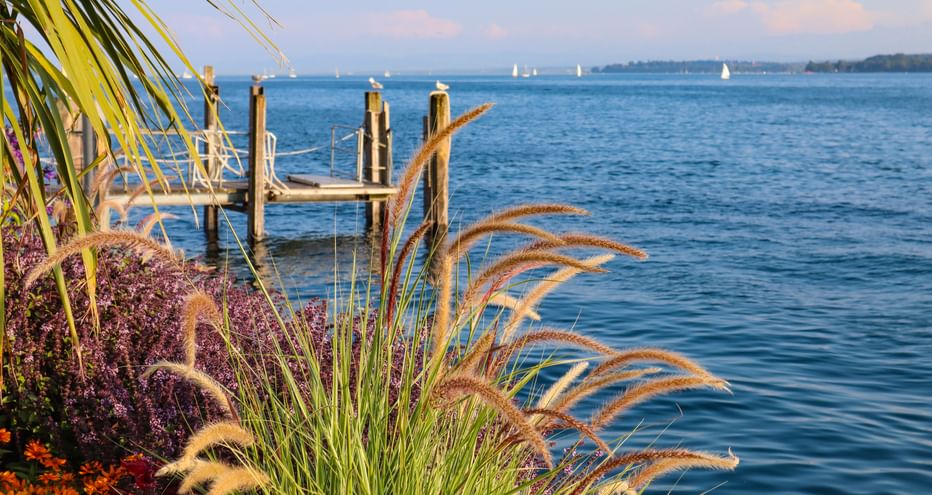 Schön bepflanztes Ufer mit Steg am Bodensee