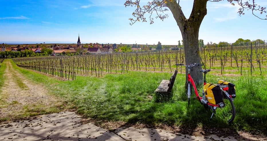 Cycle break in the vineyards, an idyllic village in the background