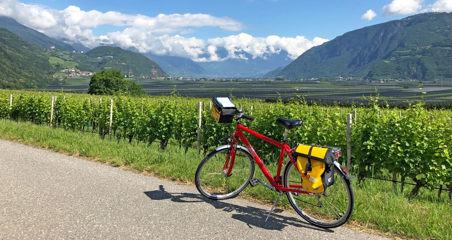 Ein Fahrrad steht vor Weinbergen in der Nähe von Meran