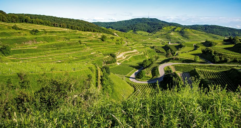 Panorama rund um den Kaiserstuhl