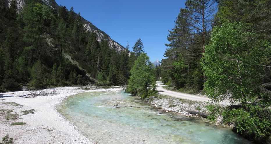 Die Isar bei Niedrigstand in einem Kiesbett, umgeben von Bäumen und Bergen