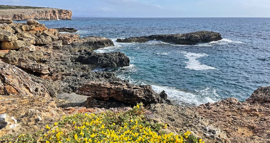 rocky coast