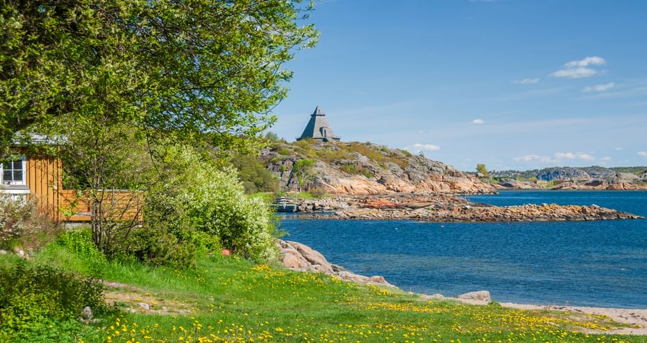 Field of yellow dandelions by the Oslofjord with blue water, rocky coastline, and a windmill on a distant hill under clear sky.