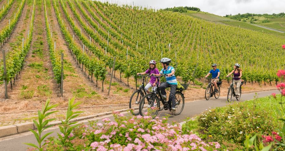 Family on cycle paths in the Moselle vineyards