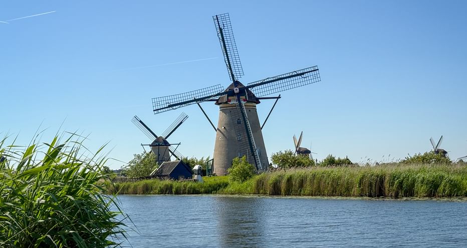 Traditionelle niederländische Windmühlen in Kinderdijk entlang eines Kanals mit Schilf. Blauer Himmel und grüne Vegetation in sonniger Landschaft.