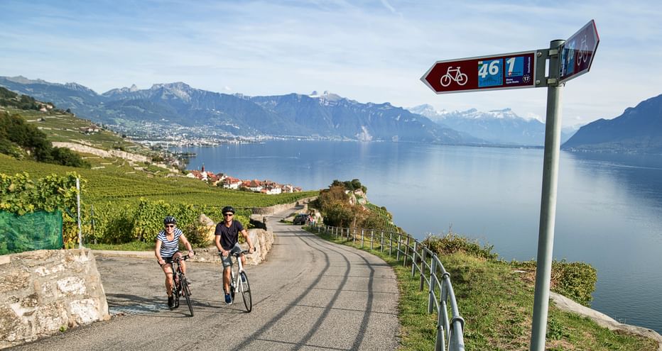 Cycle tour on Lake Geneva near Rivaz in the canton of Vaud