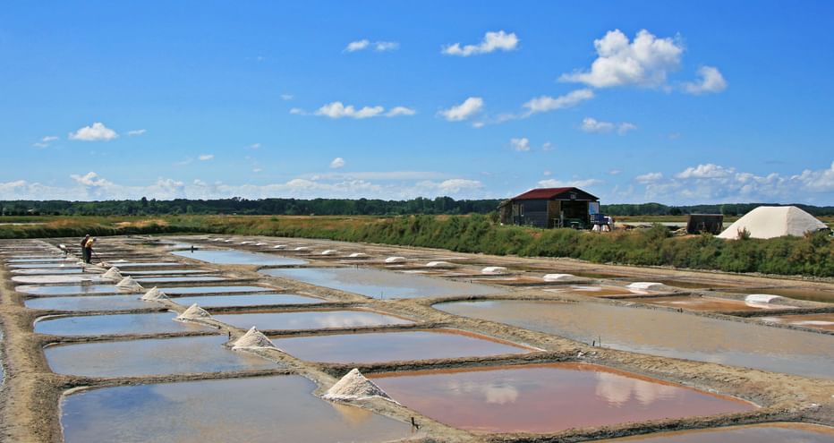 Salt fields in the marshes