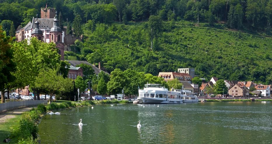 Blick auf den Ort und das Schloss von Miltenberg am Main gelegen