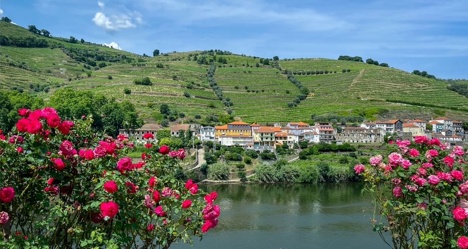 Penajoia landscape