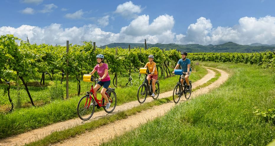 Drei Radfahrer mit gelben Taschen fahren auf Schotterweg durch grüne Weingärten in Monteforte Alpone unter blauem Himmel mit weißen Wolken.