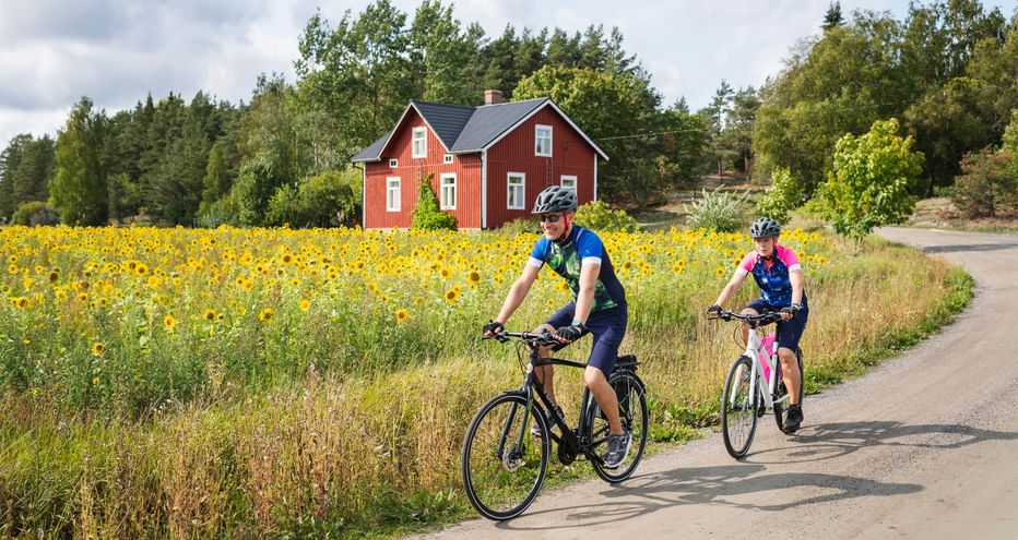 Two cyclists on a cycle path, in the background a field of sunflowers and a typical red wooden house