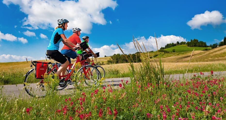Drei Radfahrer auf einem Radweg inmitten von Feldern und Hügeln