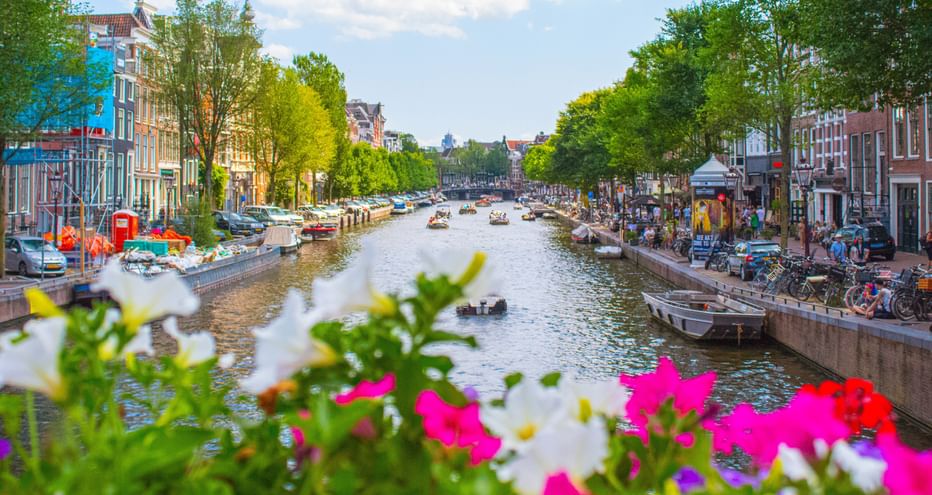 View of canal with flowers