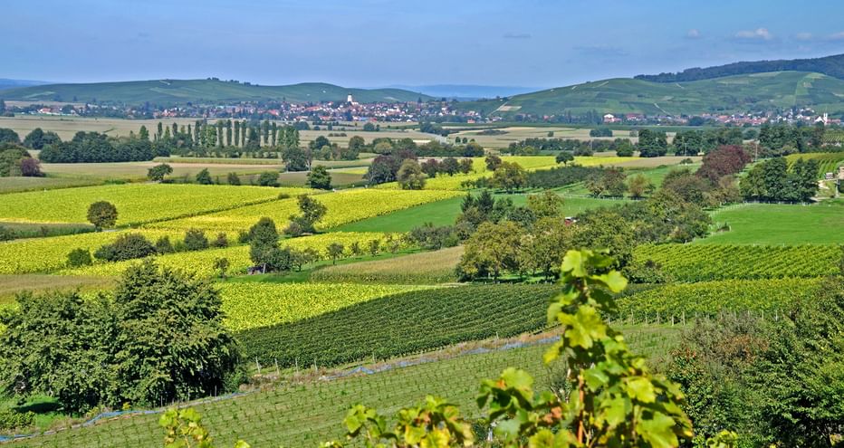 The fertile Markgräflerland near Freiburg from above