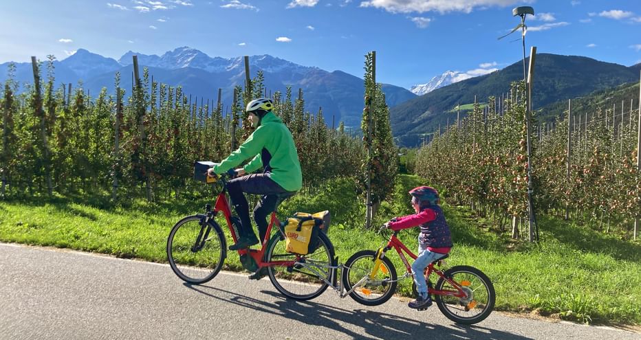 Family cycling along the apple orchard