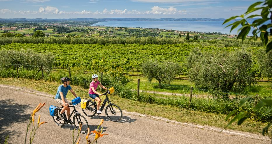 Two cyclists on a path through vineyards and olive groves near Cavaion Veronese with panoramic view of Lake Garda and mountains.