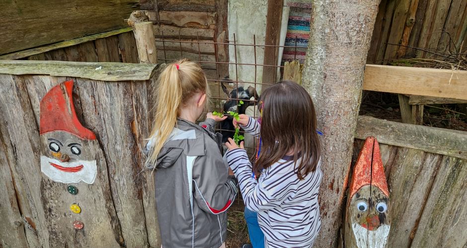 Two children feeding goats through a wooden fence in a rustic barn. Decorative painted gnomes adorn the weathered wood structure.