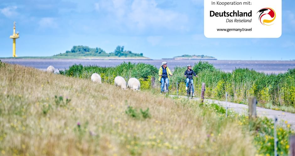 Radfahrer vor Langlütjen