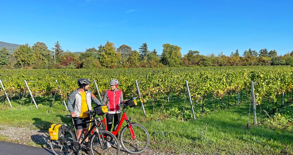 Two cyclists in front of green grapevines