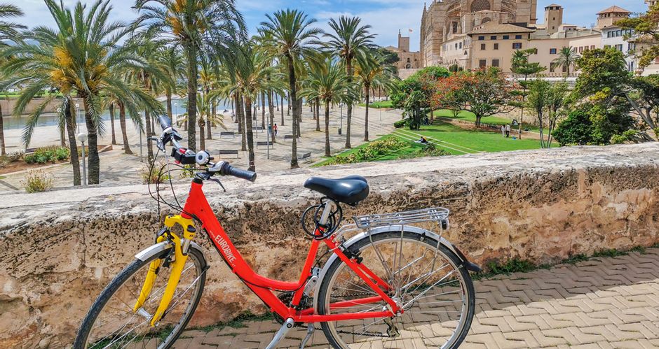 Mallorca bike tour Palma