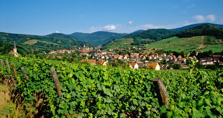 Blick auf die in Weinbergen gelegene Gemeinde Andlau in Frankreich mit bewaldeten Hügeln im Hintergrund