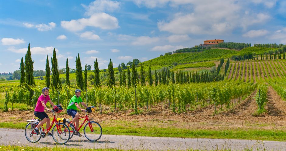 Two cyclists surrounded by vineyards, rolling hills and cypresses