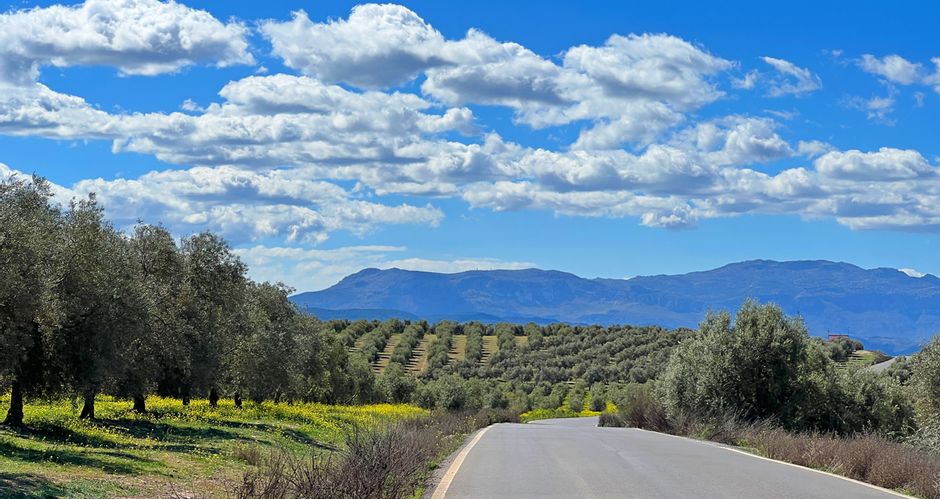 Landstraße inmitten von andalusischer Landschaft mit blauem Himmel