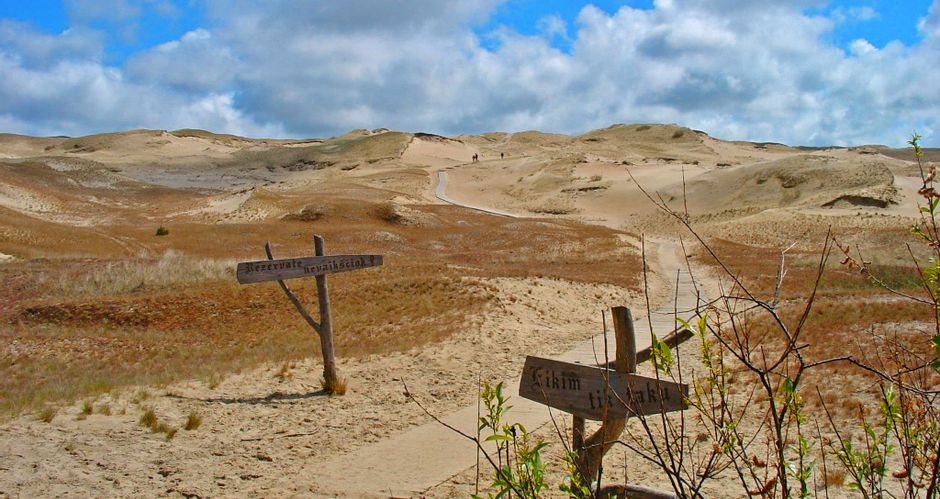 Dunes on the Curonian Spit