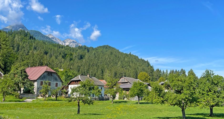 Idyllisch gelegene Bauernhäuser auf der Etappe zwischen Drautal und Spittal, im Vordergrund Obstbäume, im Hintergrund Wälder und Berge
