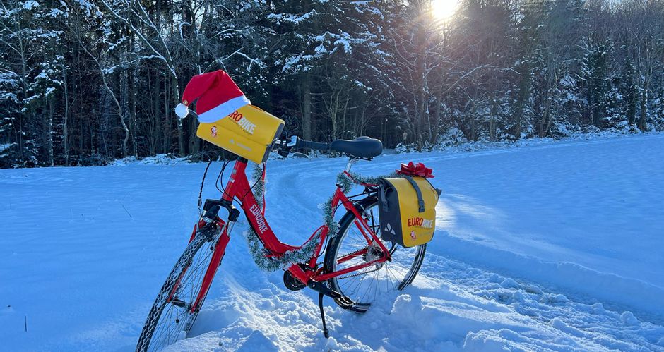 Christmas bike in the winter forest