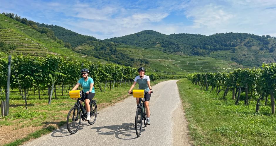 Zwei Radfahrerinnen radeln durch Weingärten