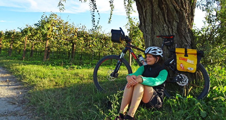 Eine Radfahrerin lehnt an einem Baum inmitten der Weinberge nahe Borgo Lorenzoni