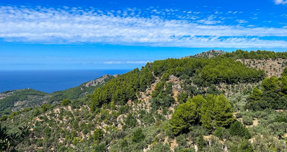 Landschaft mit Meerblick in Sencelles auf Mallorca