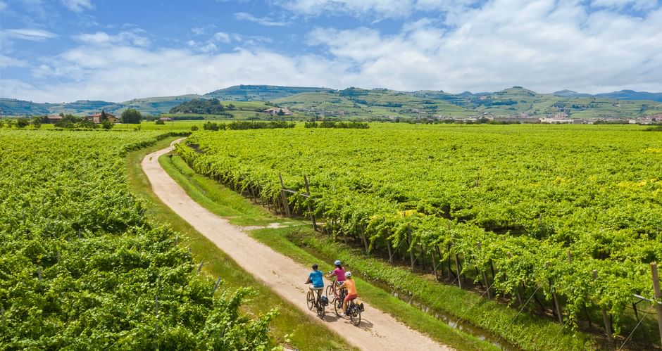 Panoramic view of three cyclists on the cycle path near Montforte Alpone
