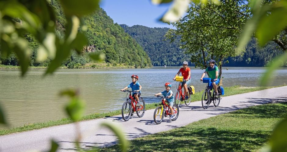 Familie auf Fahrrädern fährt entlang des Donauradwegs am Ufer der Donau