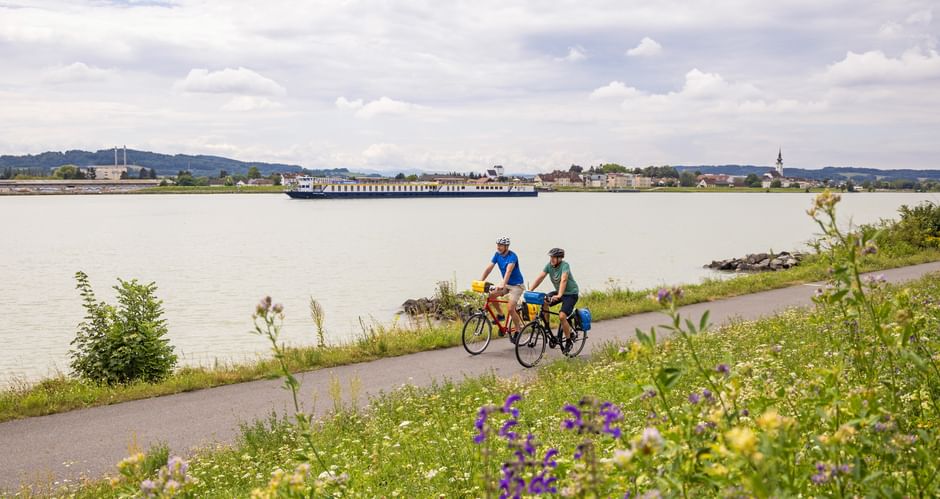 Donau Radweg Blumenwiese