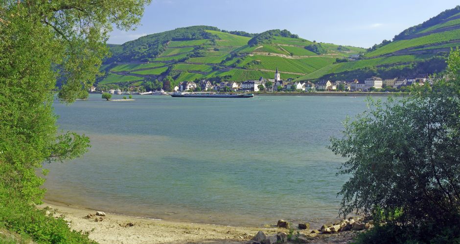 View across the Rhine to Assmannshausen