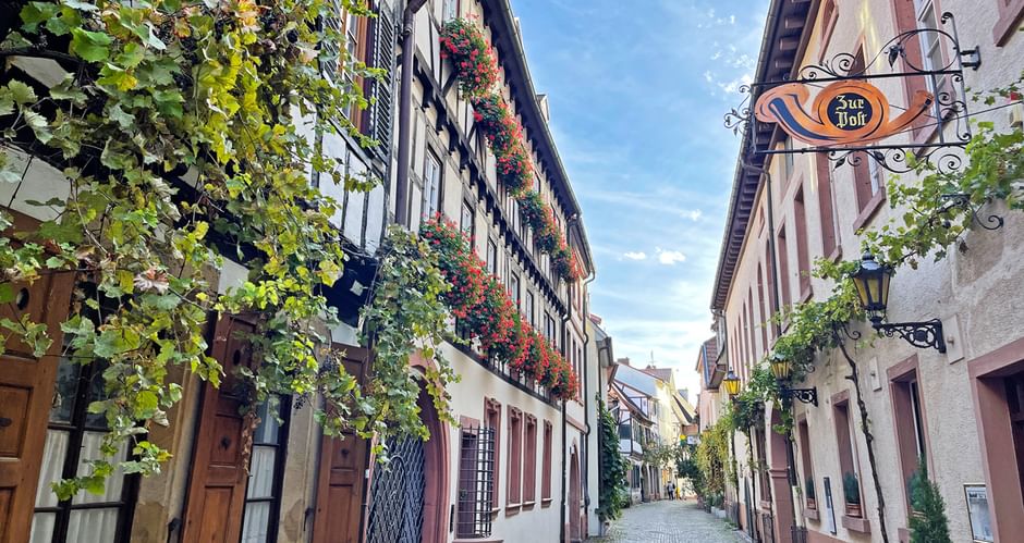 Kopfsteinpflastergasse in Neustadt, Pfalz, gesäumt von Fachwerkhäusern, die mit Blumen und Weinreben geschmückt sind, unter blauem Himmel.