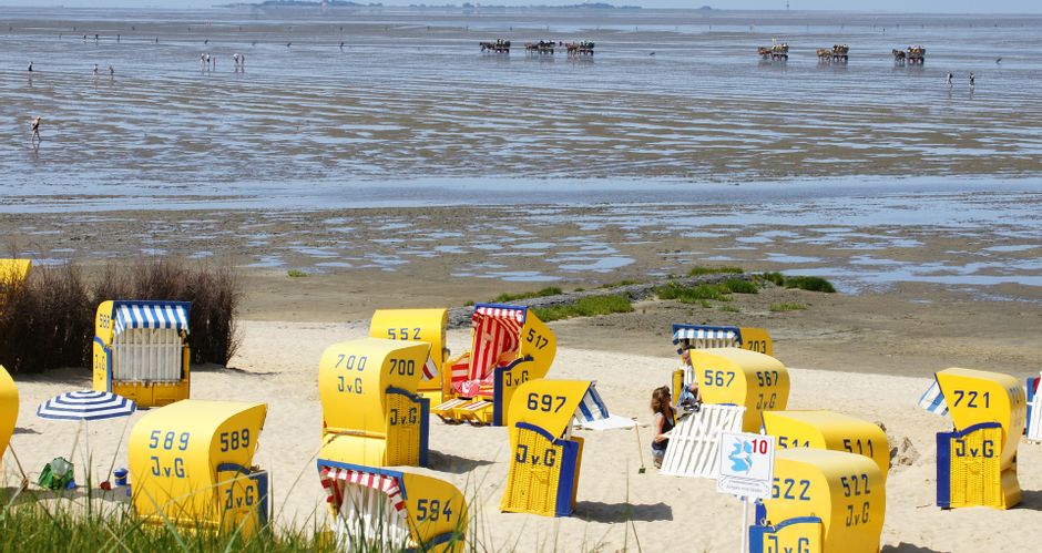 Beach chairs at low tide, horse-drawn carriages on the mudflats in the background