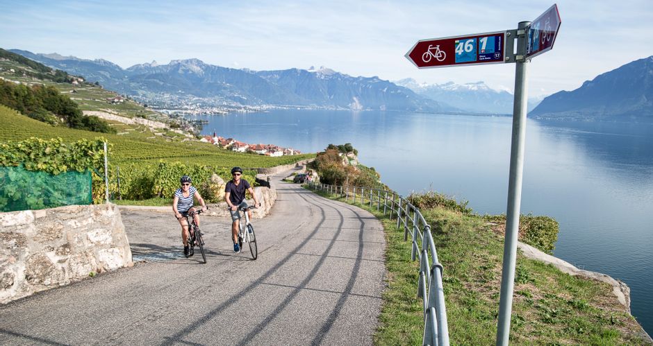 Zwei Radfahrer auf einer Radtour in der Nähe von Rivaz,mit Panoramablick auf Weinberge, den Genfer See und die Berge