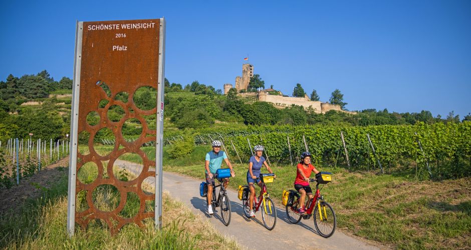 Three cyclists in front of the Wachtenburg, surrounded by vineyards and wooded hills