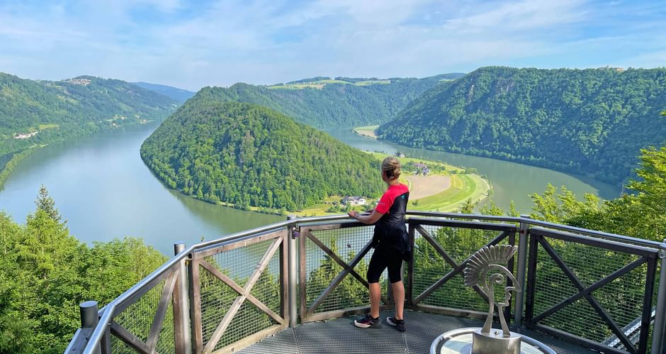 Cyclist looks out over the Schlögener Schlinge