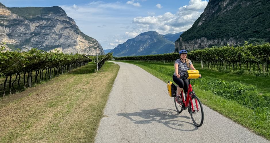 Cyclist cycles through grapevines on the Adige cycle path